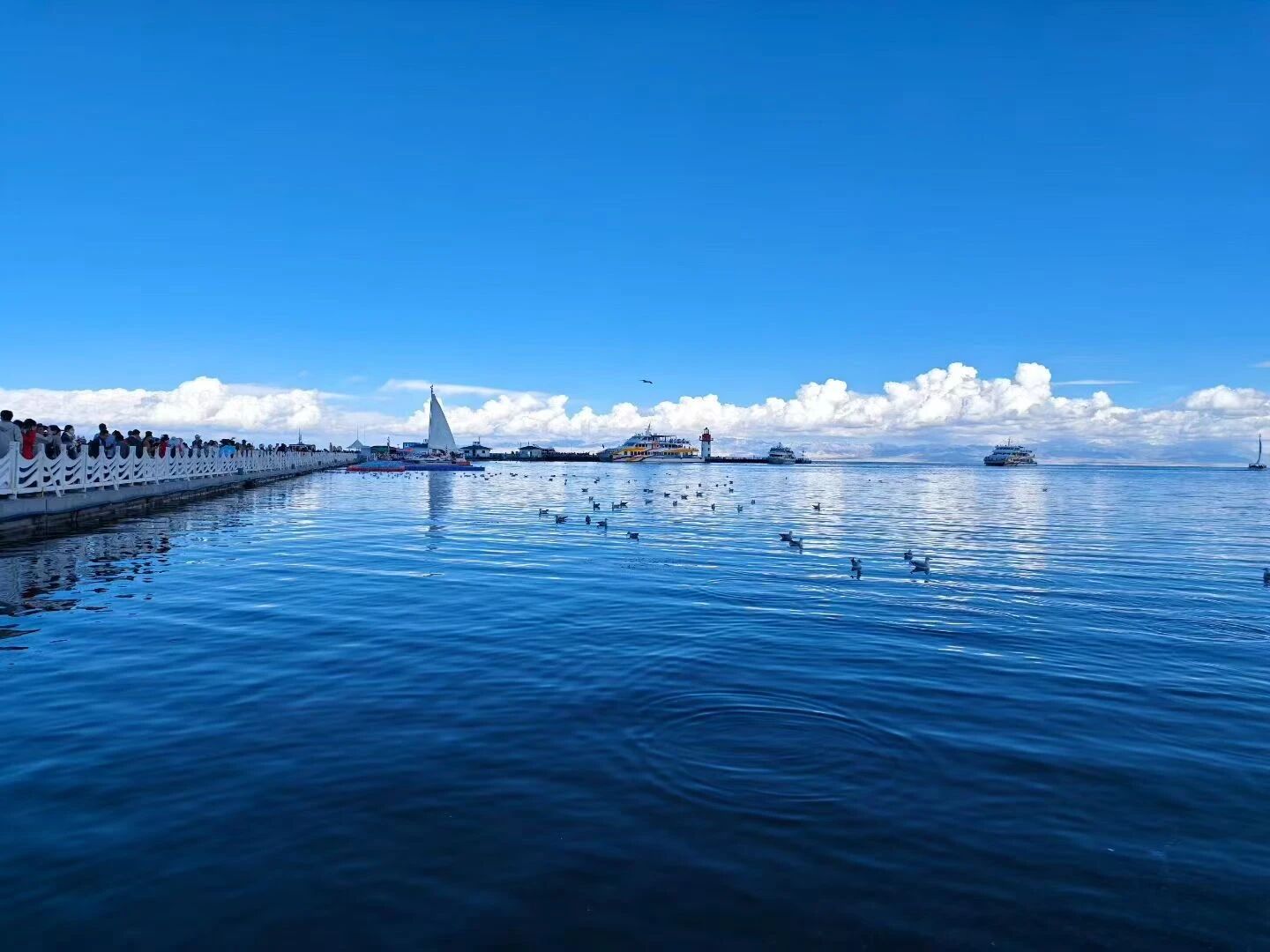 25012